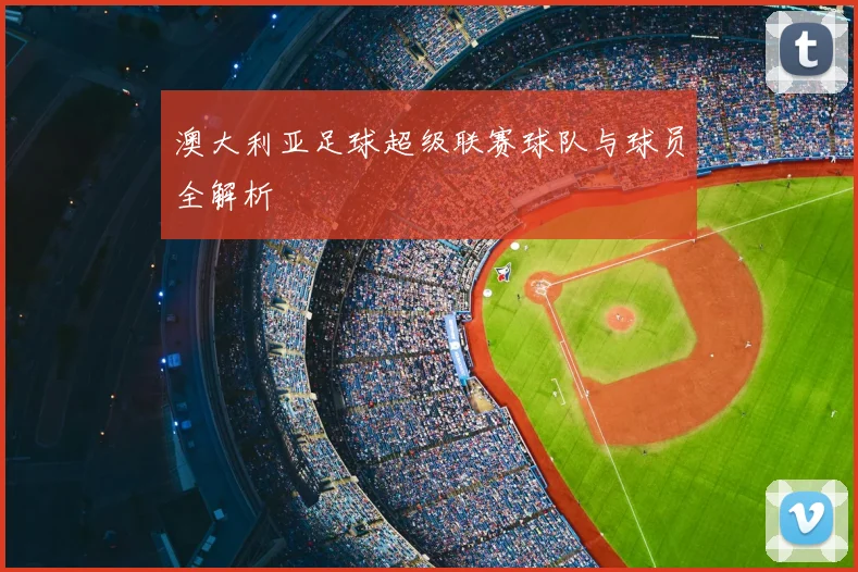 澳大利亚足球超级联赛球队与球员全解析