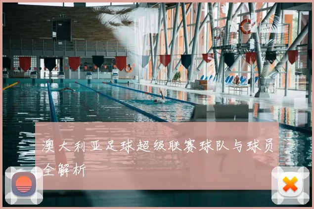 澳大利亚足球超级联赛球队与球员全解析